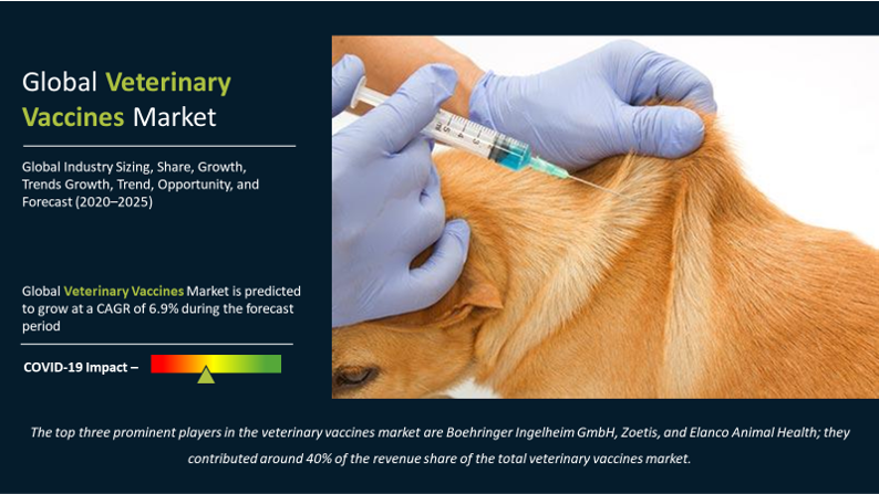 Veterinary Vaccines Market Research Report 2021-2027 | Market